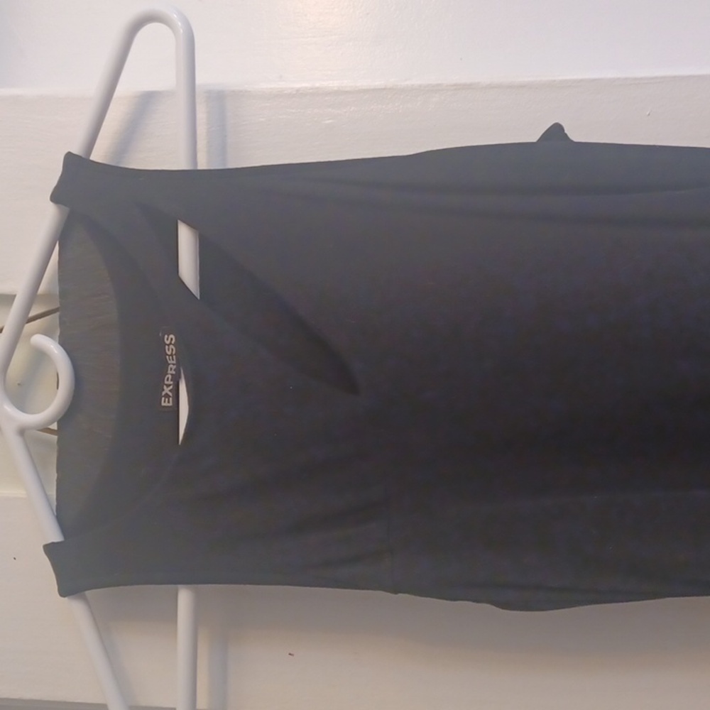 Express Dress - Picture 2 of 5